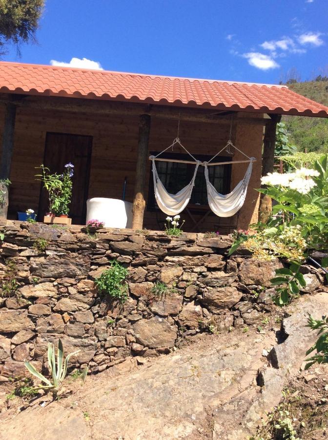 Unique Tiny House With Natural Building Techniques Figueiro Dos Vinhos Eksteriør billede