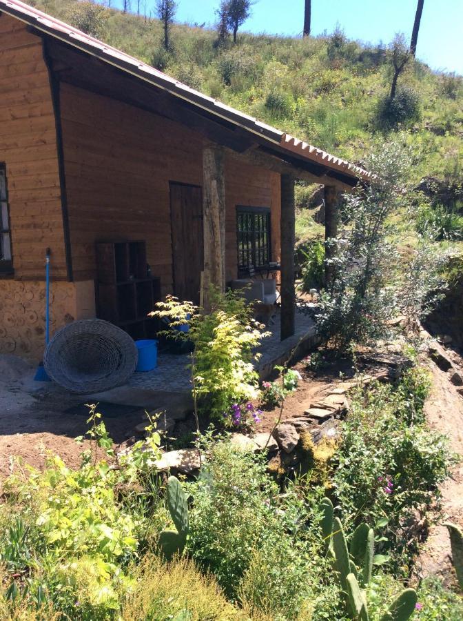 Unique Tiny House With Natural Building Techniques Figueiro Dos Vinhos Eksteriør billede