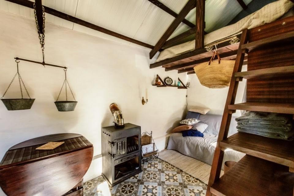 Unique Tiny House With Natural Building Techniques Figueiro Dos Vinhos Eksteriør billede