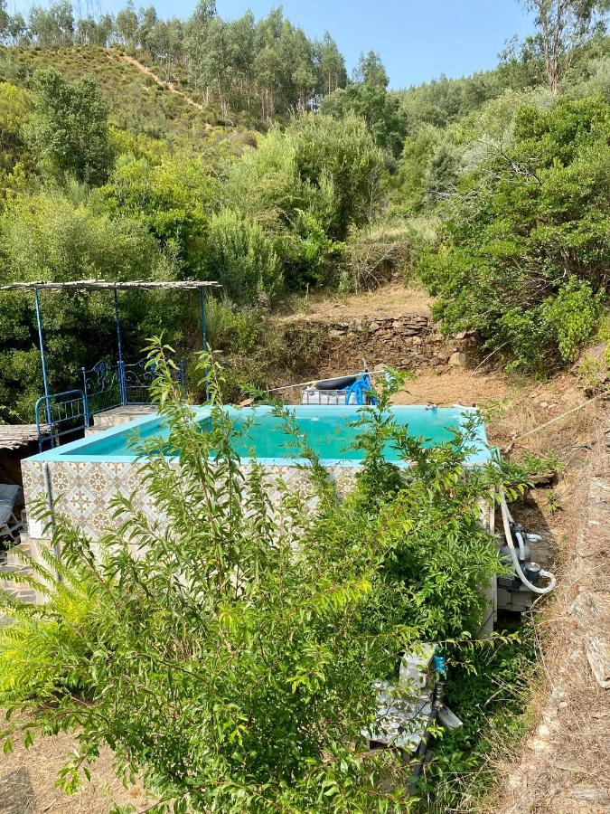 Unique Tiny House With Natural Building Techniques Figueiro Dos Vinhos Eksteriør billede