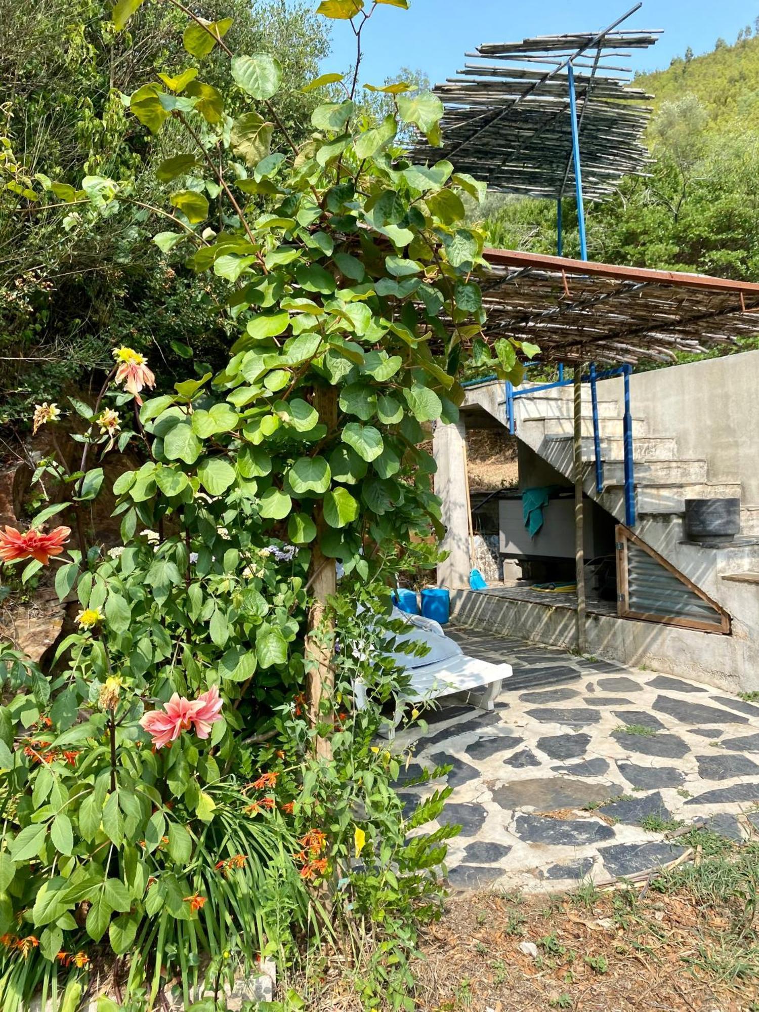 Unique Tiny House With Natural Building Techniques Figueiro Dos Vinhos Eksteriør billede